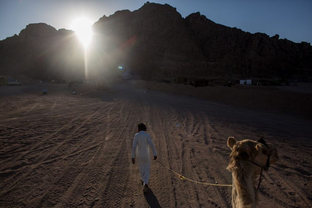 Devastating Sinai Attack Points to ISIS