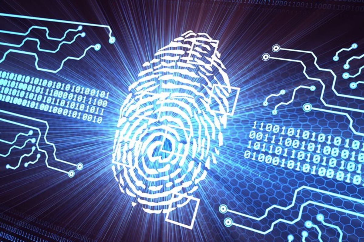 Identity in Cyberspace: The Advent of Biometrics Authentication