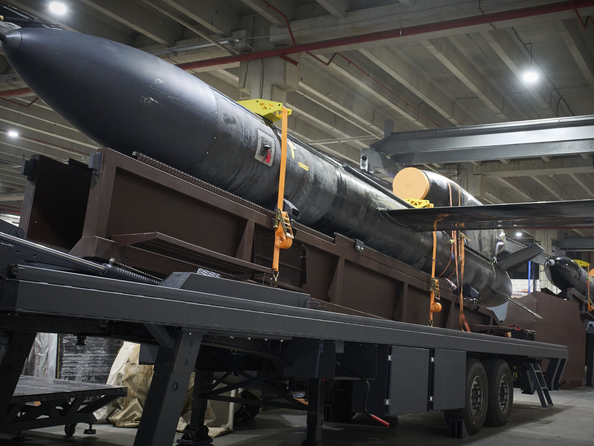 Can a “Flamingo” Cruise Missile Help Ukraine Turn the Tide?