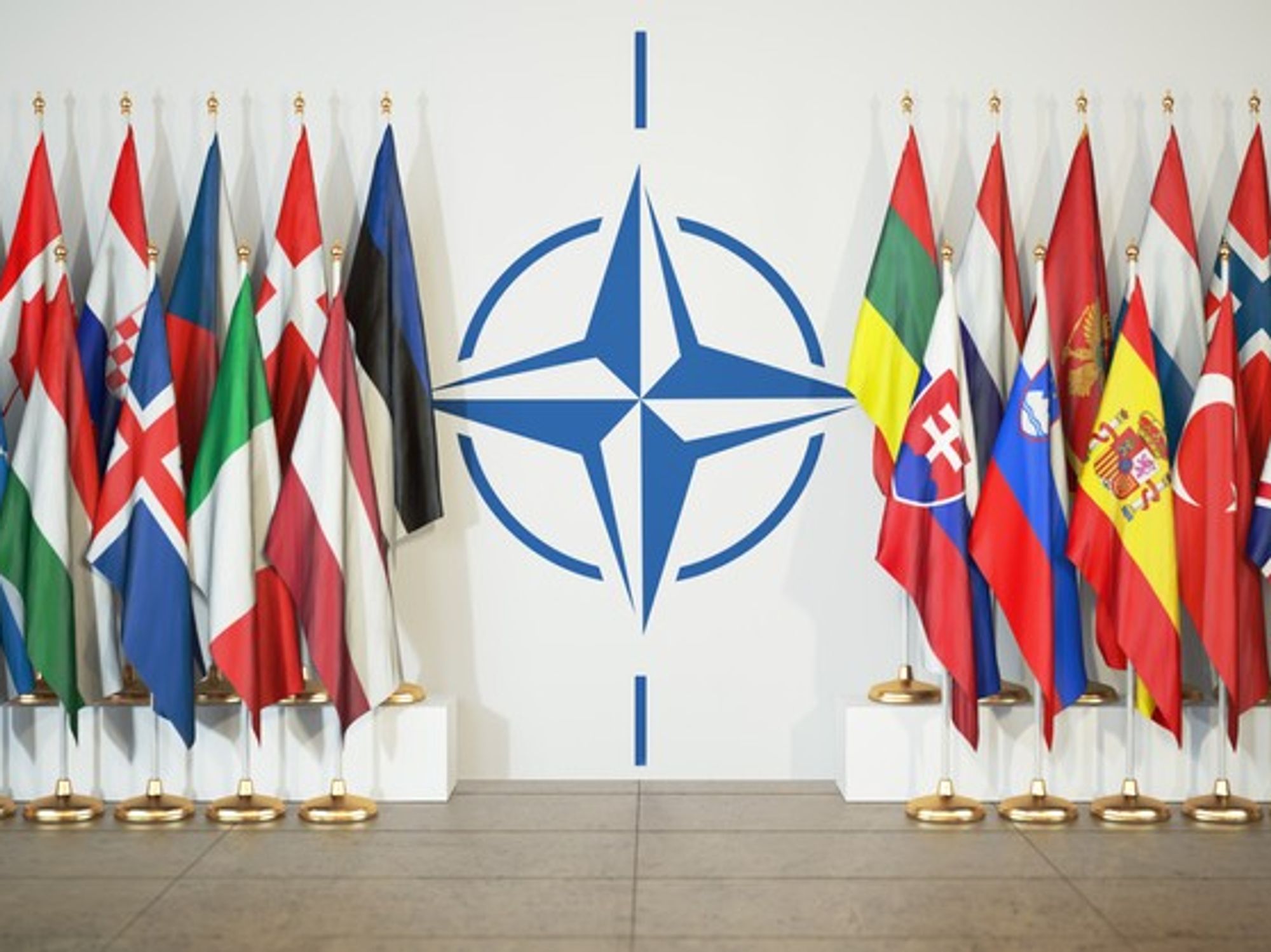 <p>NATO</p>