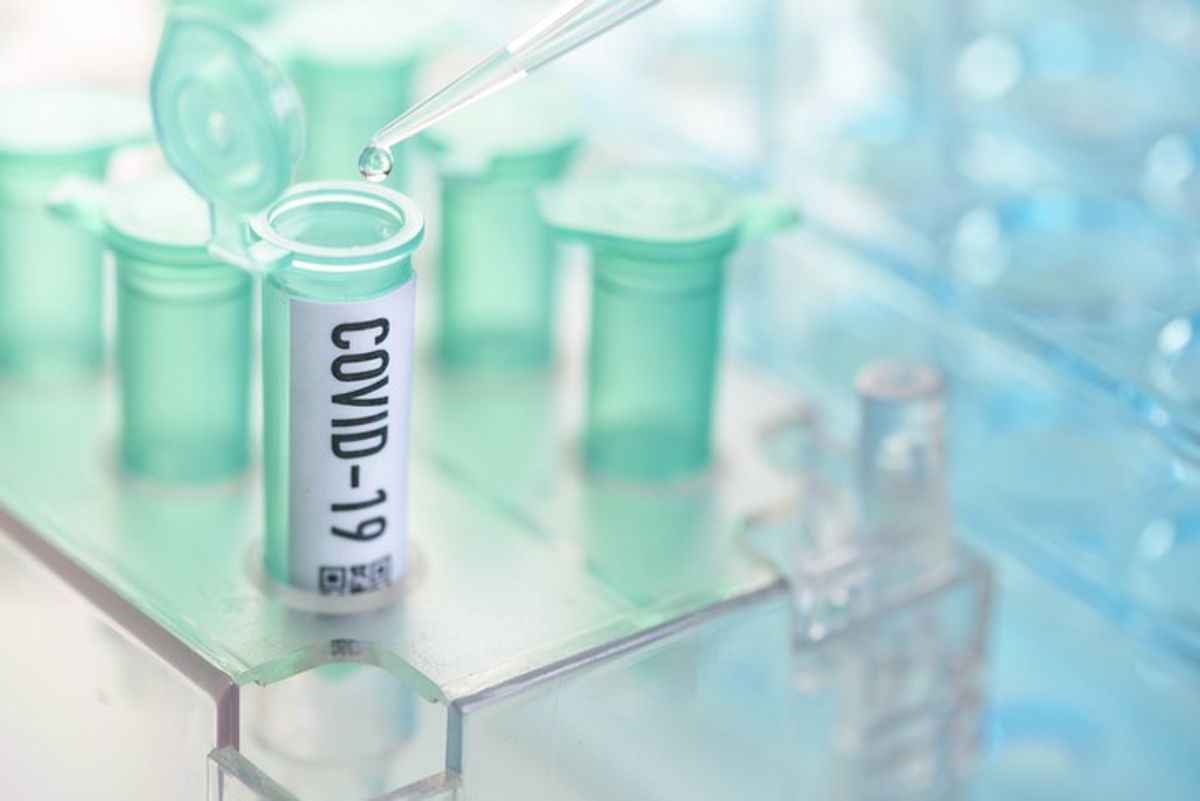 The Coronavirus Paradox