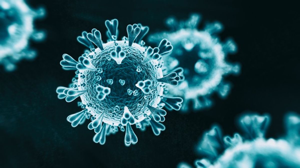 Thinking in the Time of Coronavirus - Part Two