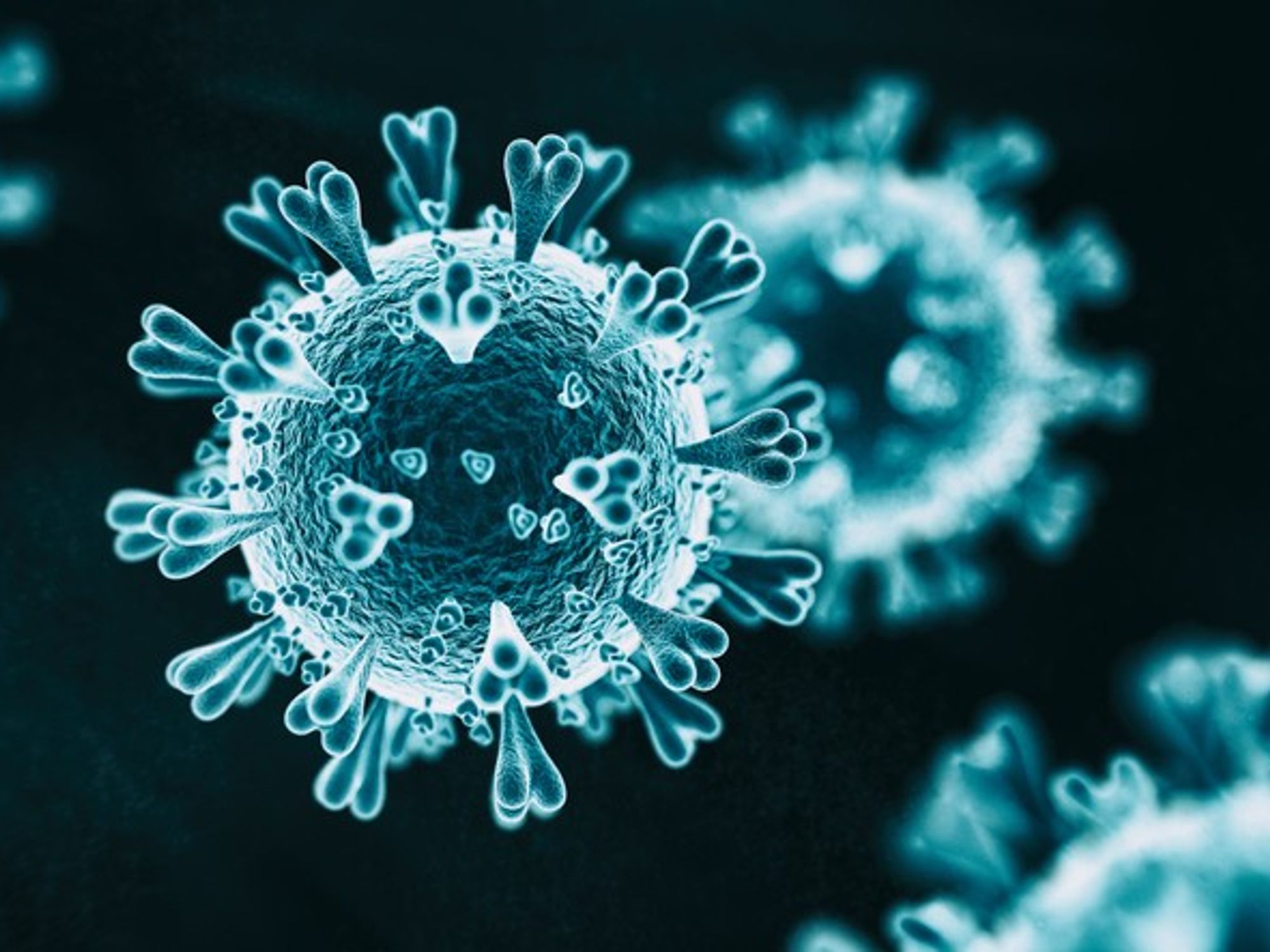 Thinking in the Time of Coronavirus - Part Two